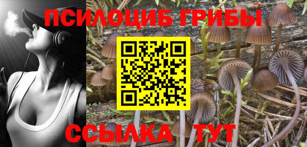 Солнечногорск  Галлюциногенные грибы MAGIC MUSHROOMS  Вход с VPN 