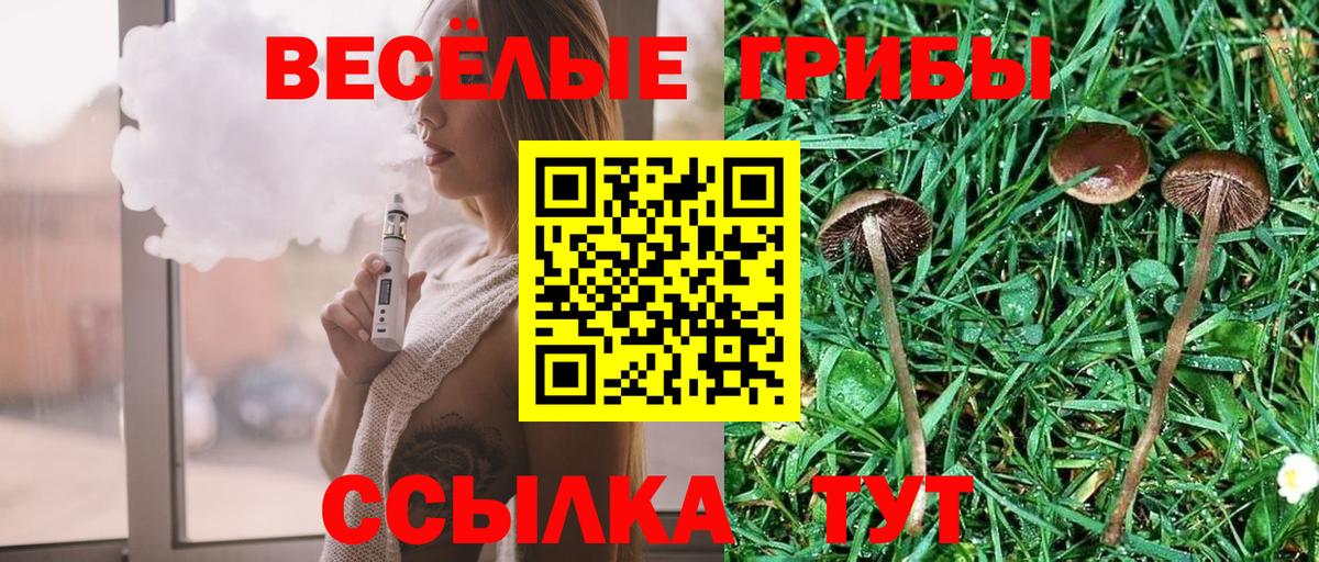 Галлюциногенные грибы Psilocybe Солнечногорск